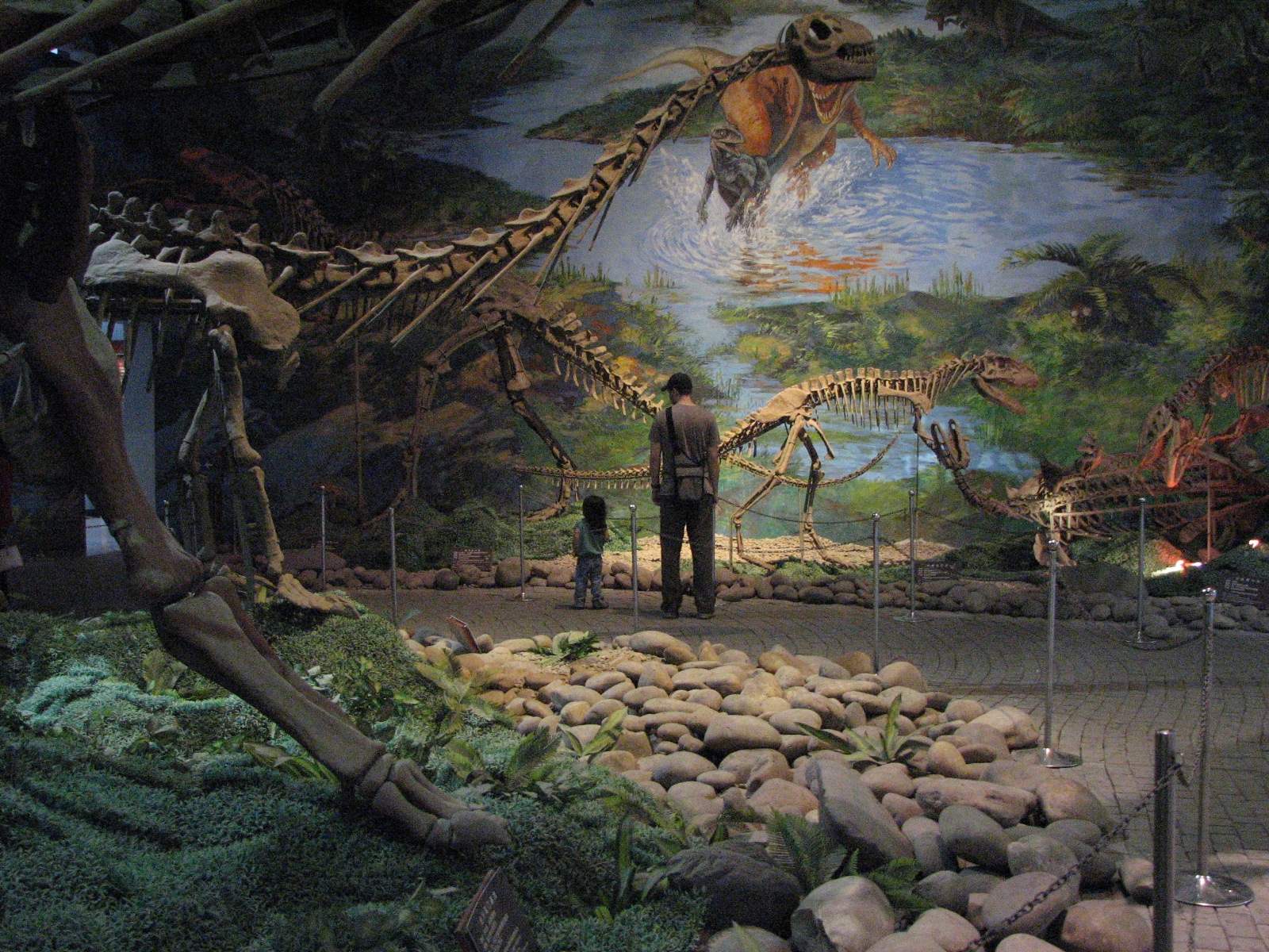 музеи динозавров мира