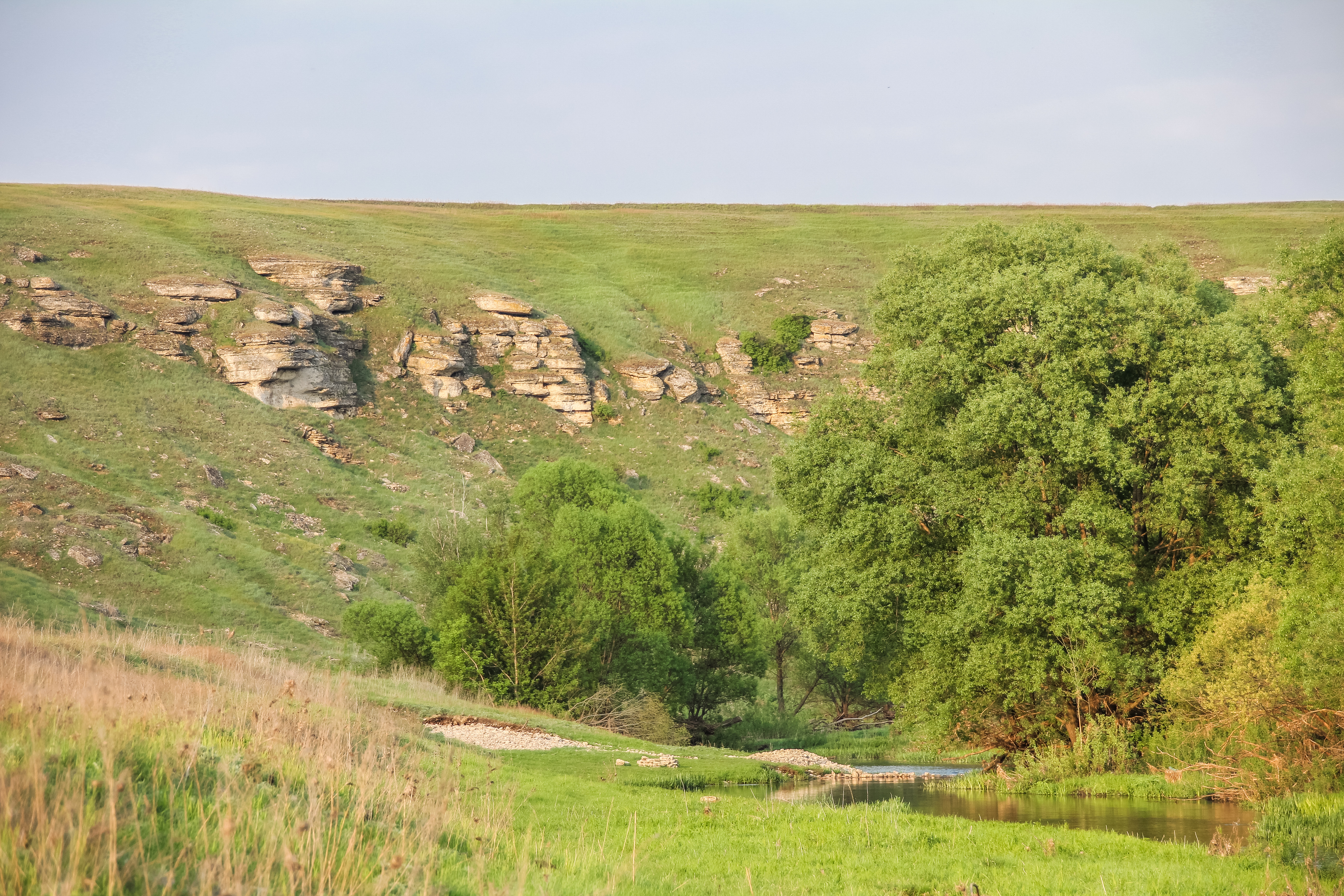 парк аргамач липецкая