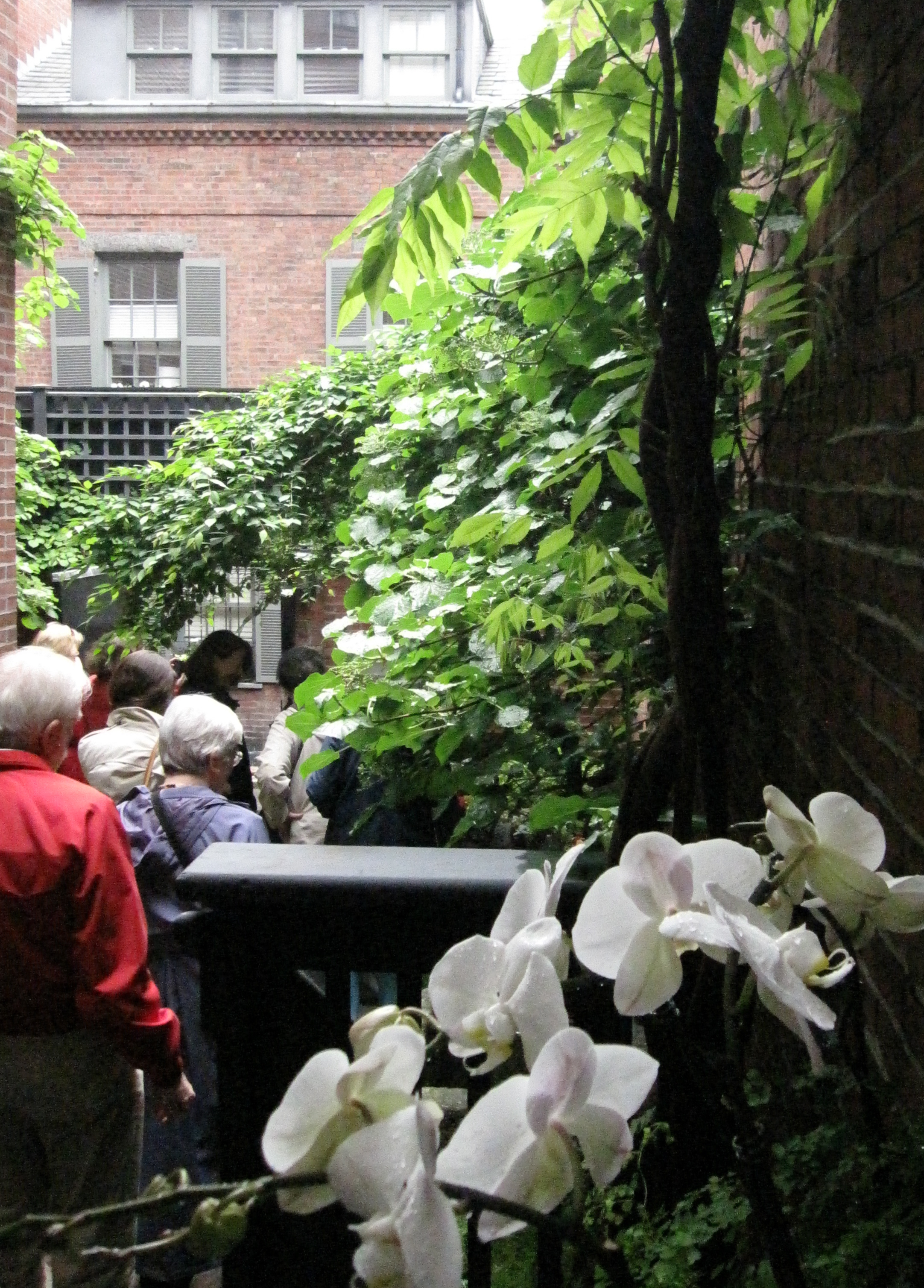 What To Do At Beacon Hill?, Harvard Gardens