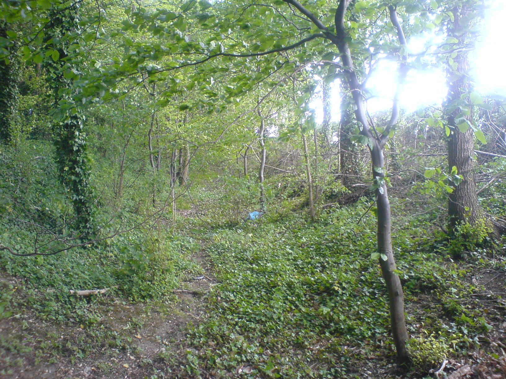 Brent Ditch