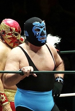 <span class="mw-page-title-main">CMLL Leyendas Mexicanas</span> Mexican professional wrestling show series