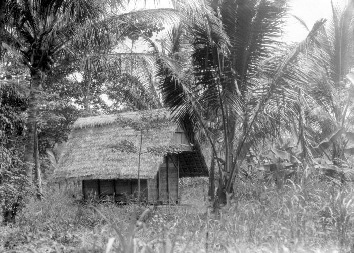 File:COLLECTIE TROPENMUSEUM Rijstschuur Zand-baai (Baai van Tjiletoeh) TMnr 10027466.jpg