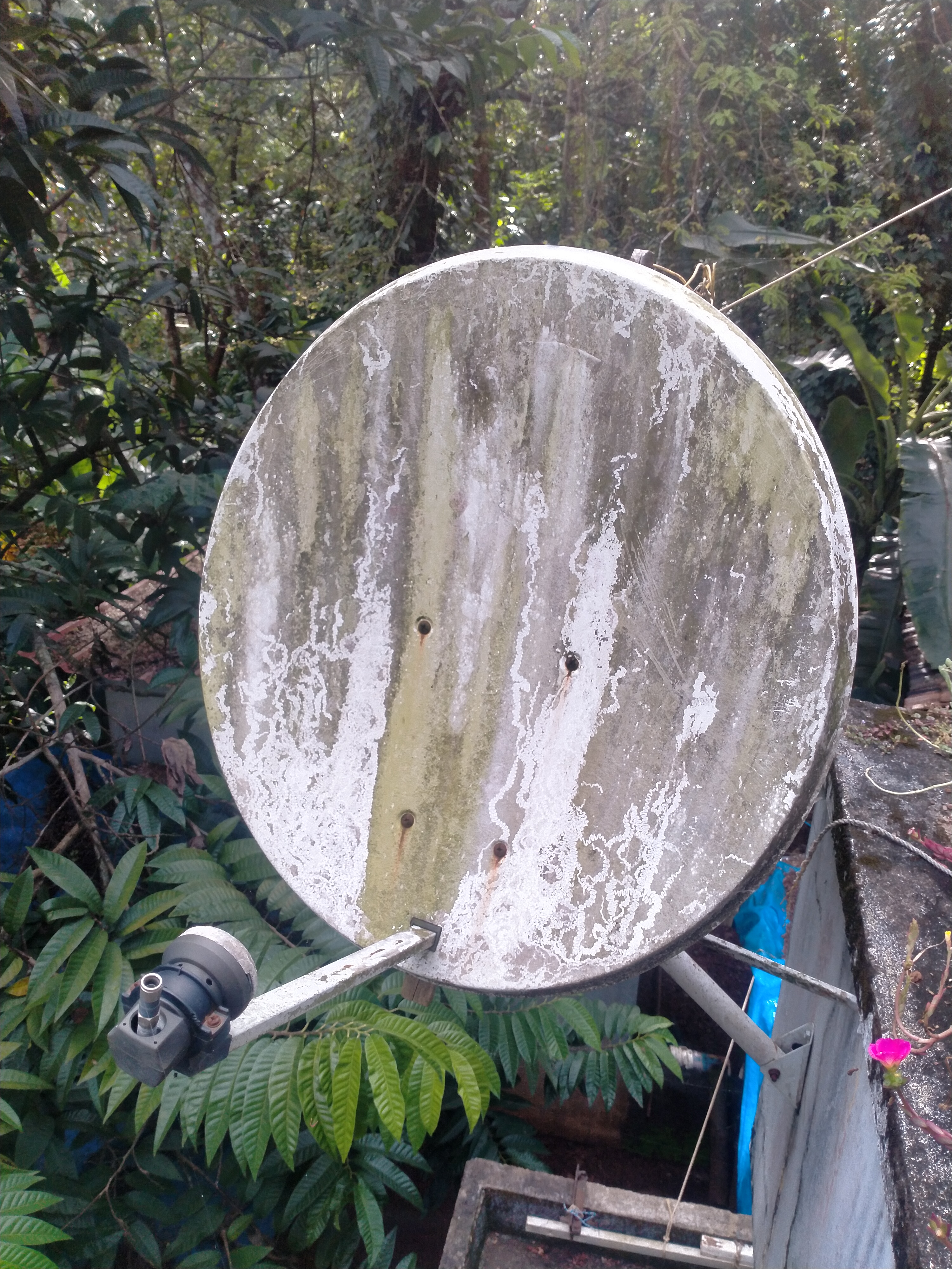 cable tv dish