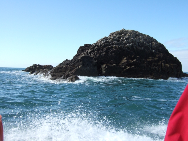 File:Carreg-gwylan island - geograph.org.uk - 1548198.jpg