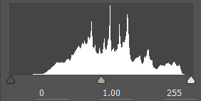 Correctly exposed histogram