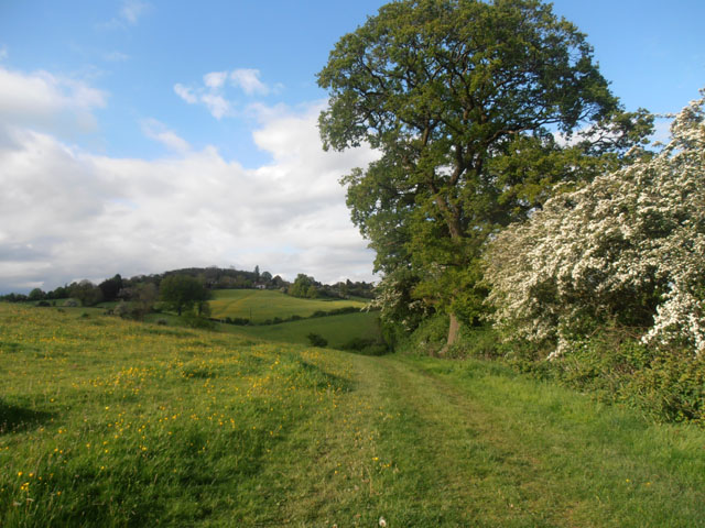 File:Cotswold Way 067 - geograph.org.uk - 3977613.jpg