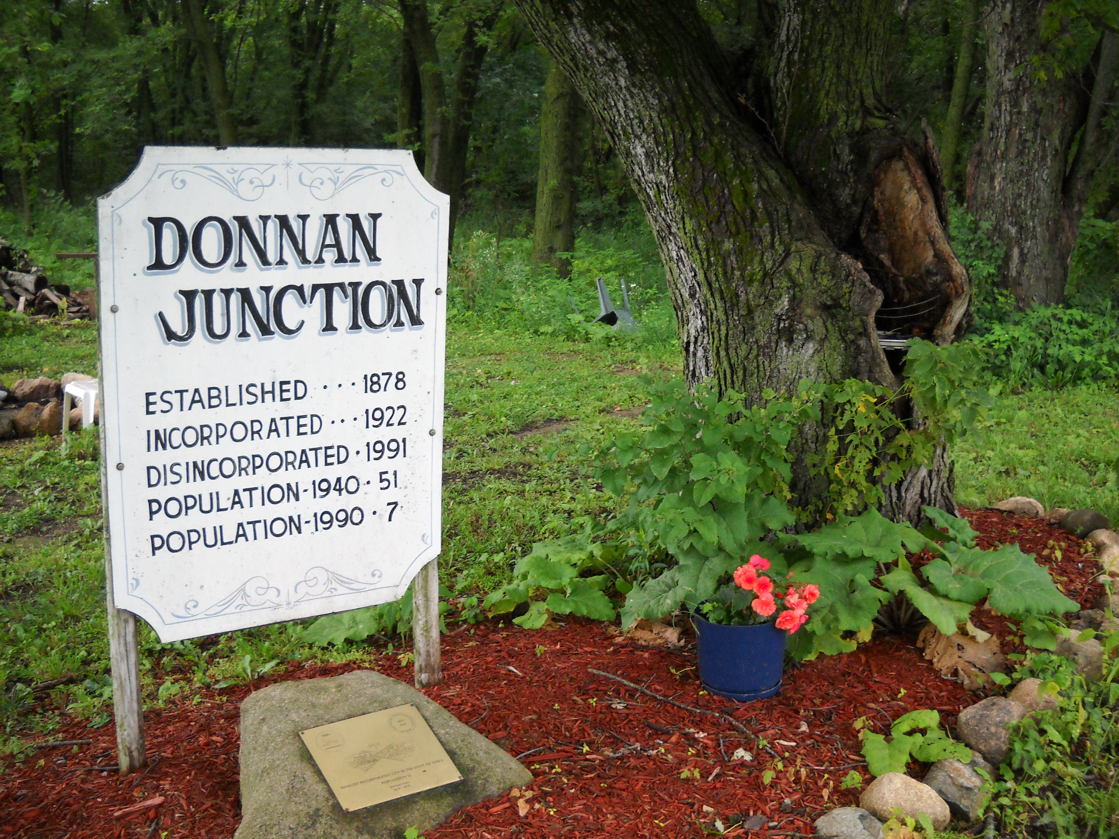 Photo of Donnan