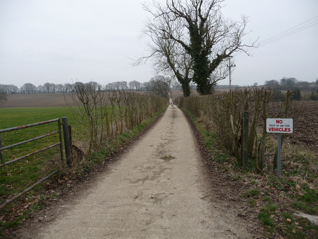 File:Dummer - Path - geograph.org.uk - 1216582.jpg