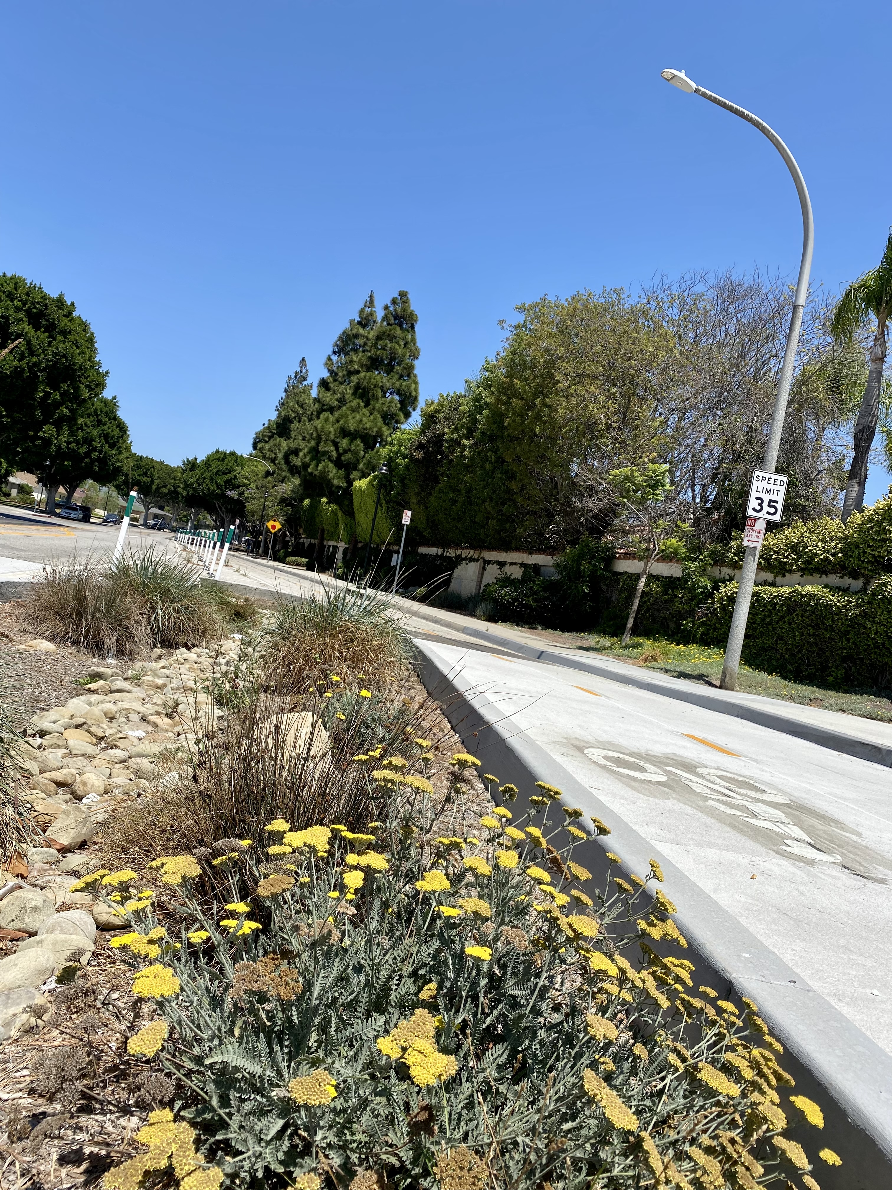 https://upload.wikimedia.org/wikipedia/commons/7/74/Elenda_Bikeway,_Culver_City.jpg