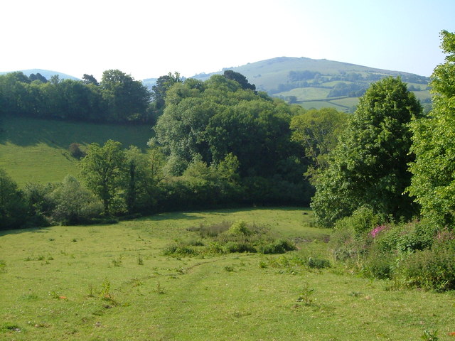 File:Field near Murchington - geograph.org.uk - 3003135.jpg