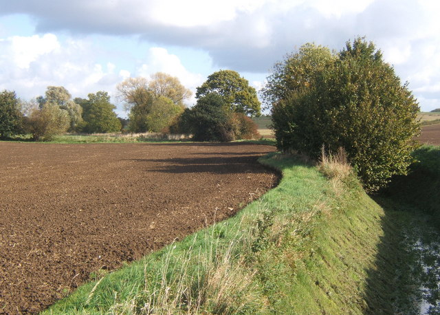 Fields by the infant Gipping - geograph.org.uk - 1008383