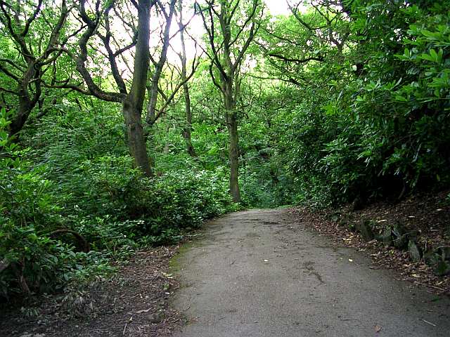 File:Footpath from Wilton Park leading to Bagshaw Museum - geograph.org.uk - 491775.jpg