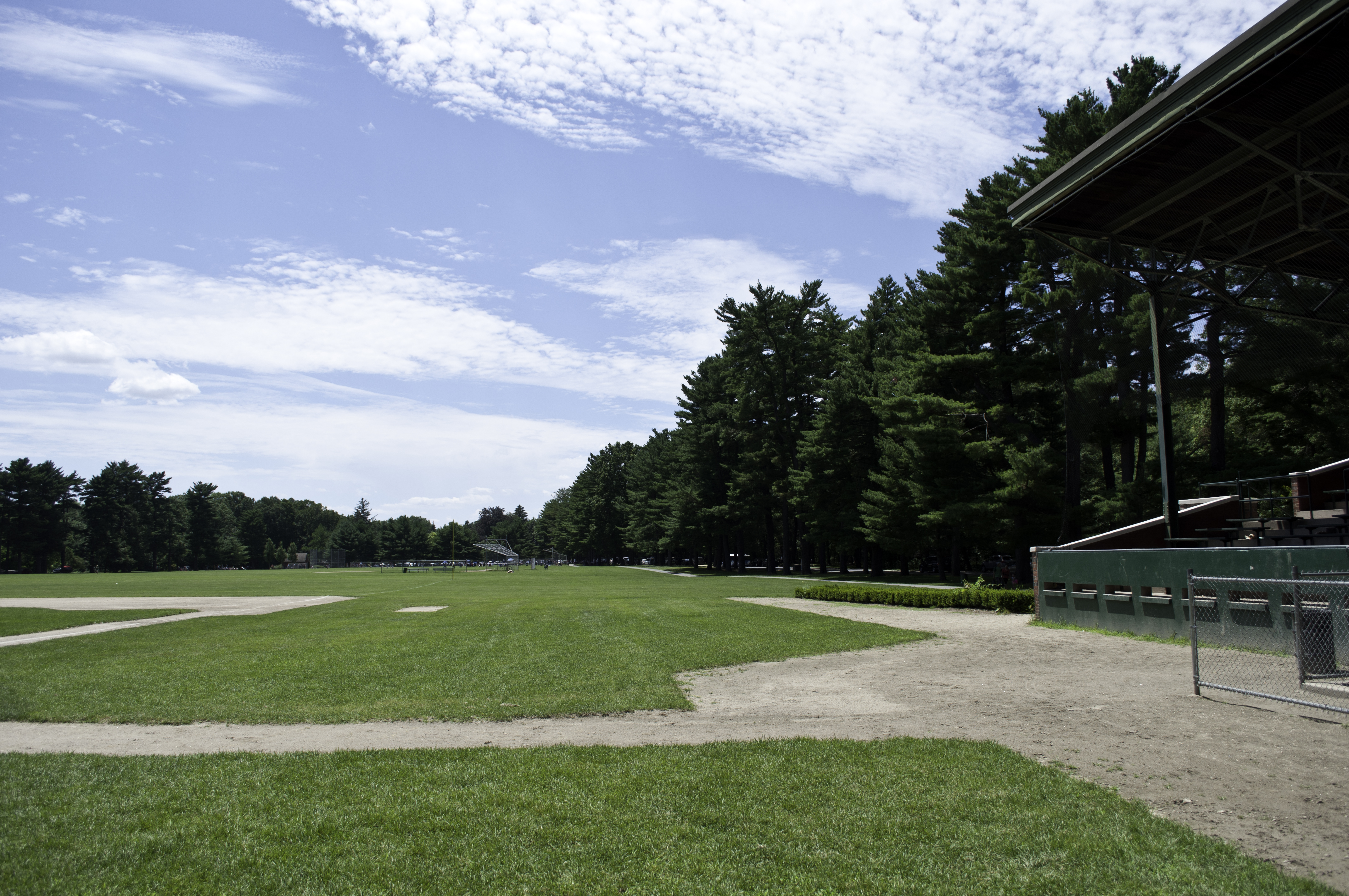 Park scene