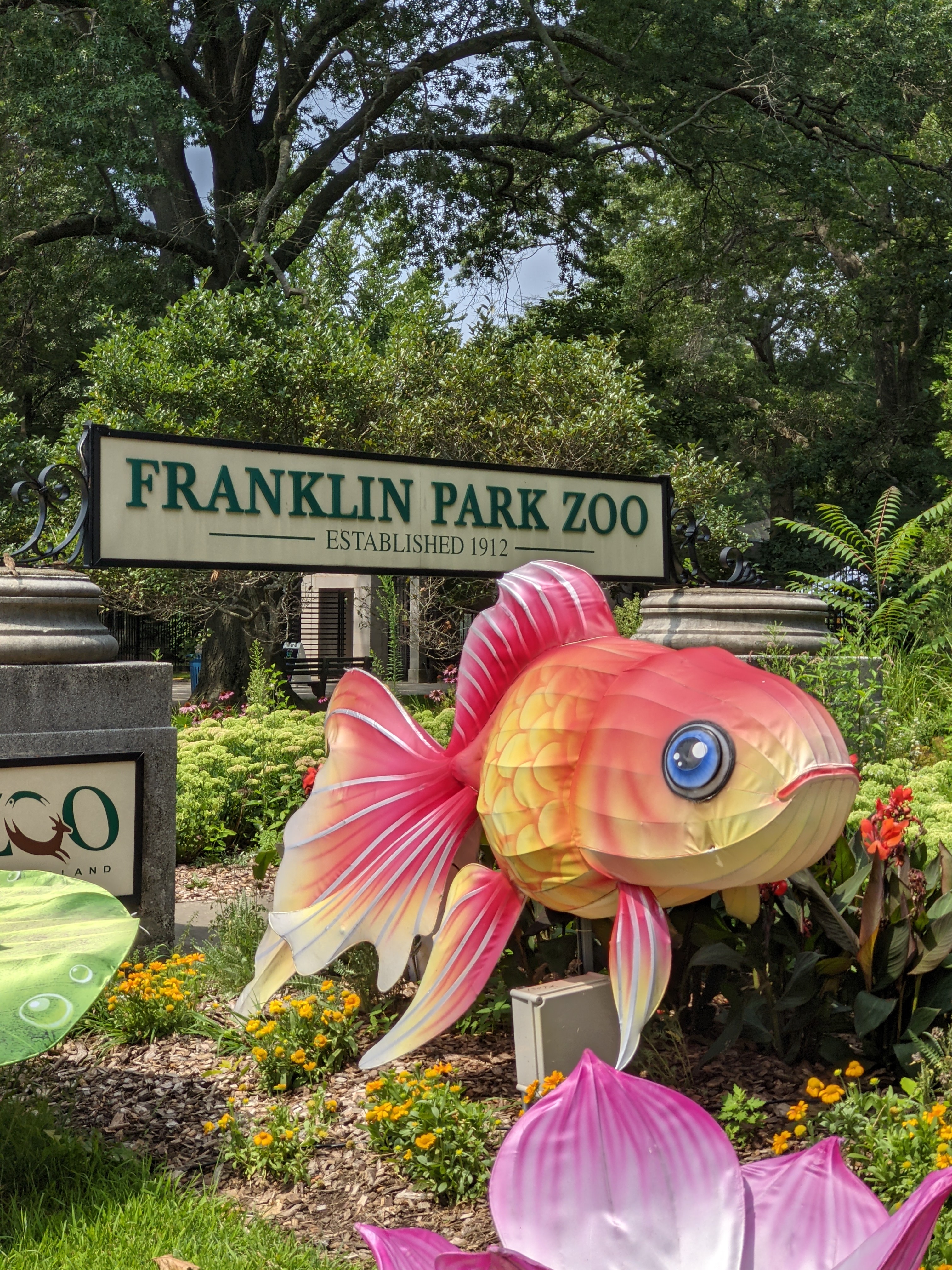 franklin park zoo rides