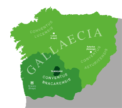 Galaicos: El origen del nombre, Tribus y clanes, Afiliación