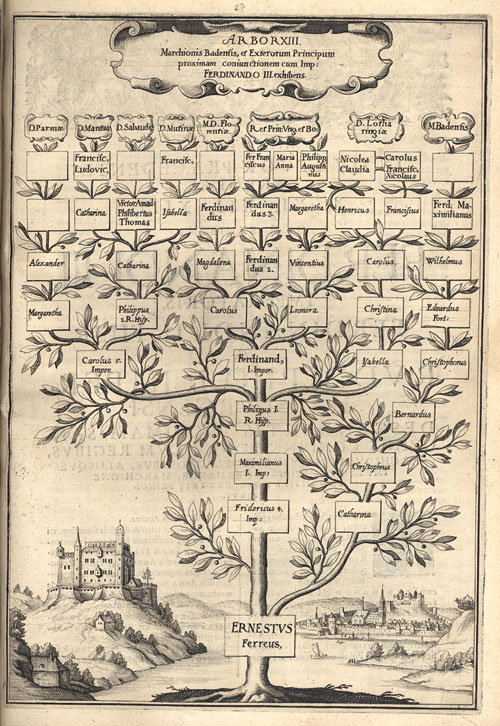 Drzewo Genealogiczne Wikipedia Wolna Encyklopedia