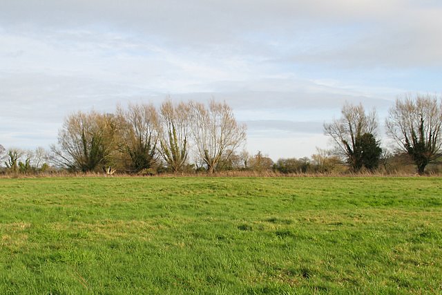 File:Glastonbury Lake Village site - geograph.org.uk - 675683.jpg