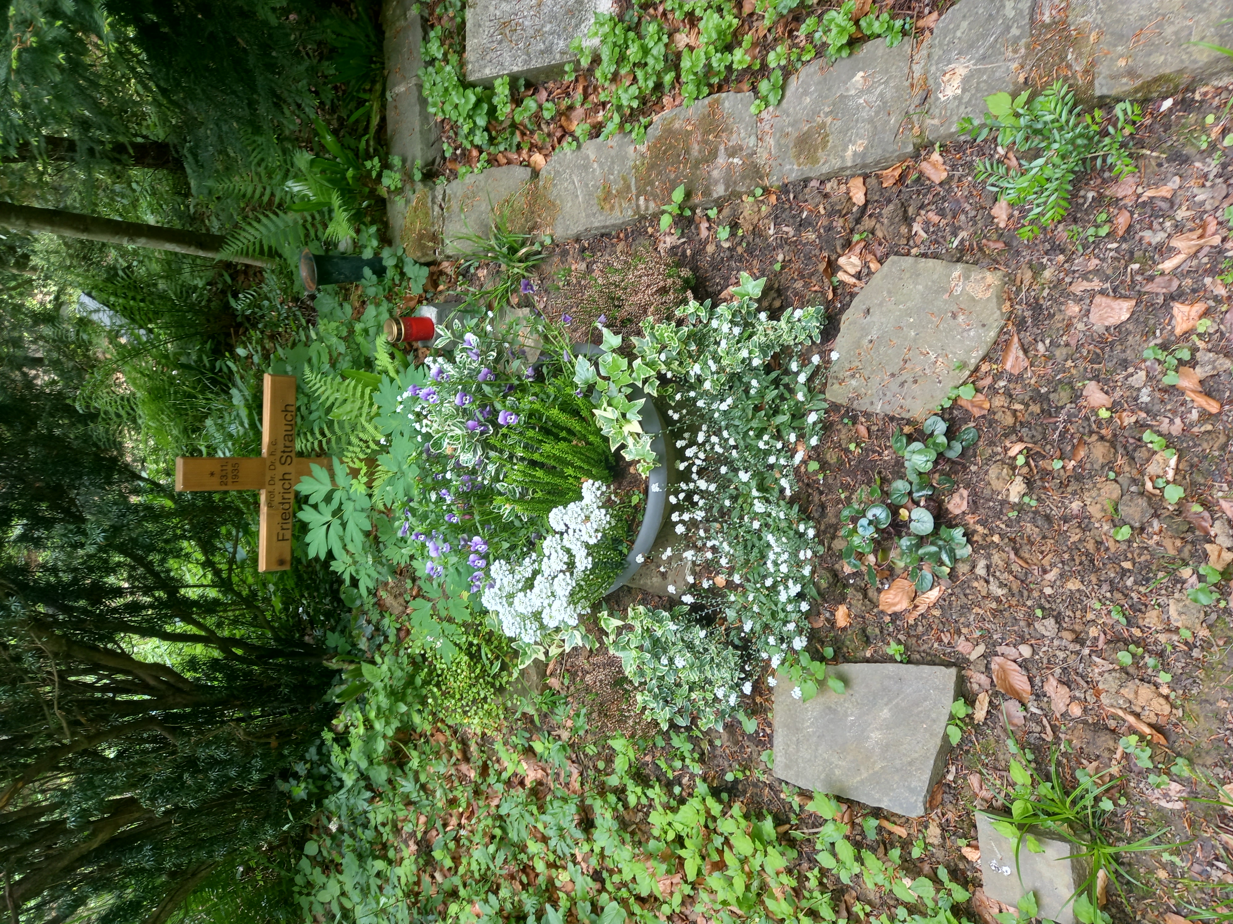 Das Grab von Friedrich Strauch auf dem [[Waldfriedhof (Rhöndorf)