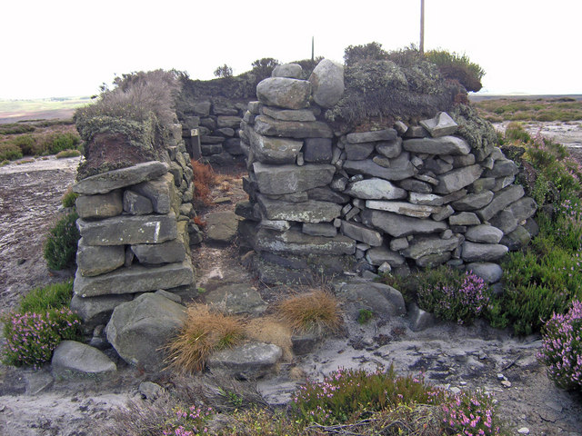 File:Grouse Butt No. 7 on Flout Hill - geograph.org.uk - 537528.jpg