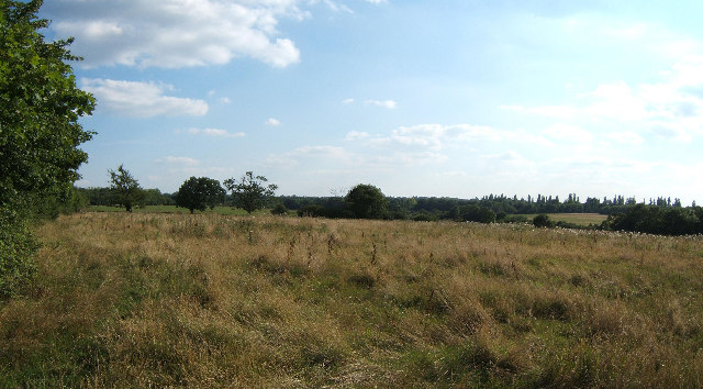 File:Horton Country Park - geograph.org.uk - 35094.jpg