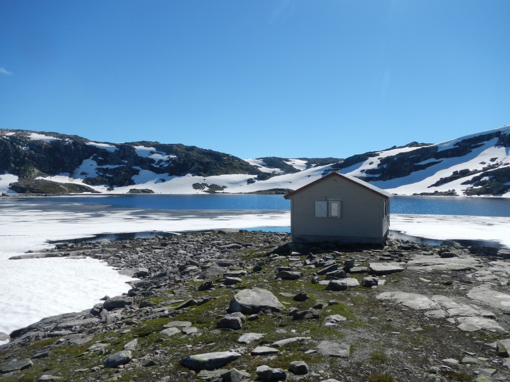 Image result for "Hardangervidda National Park" in Norway