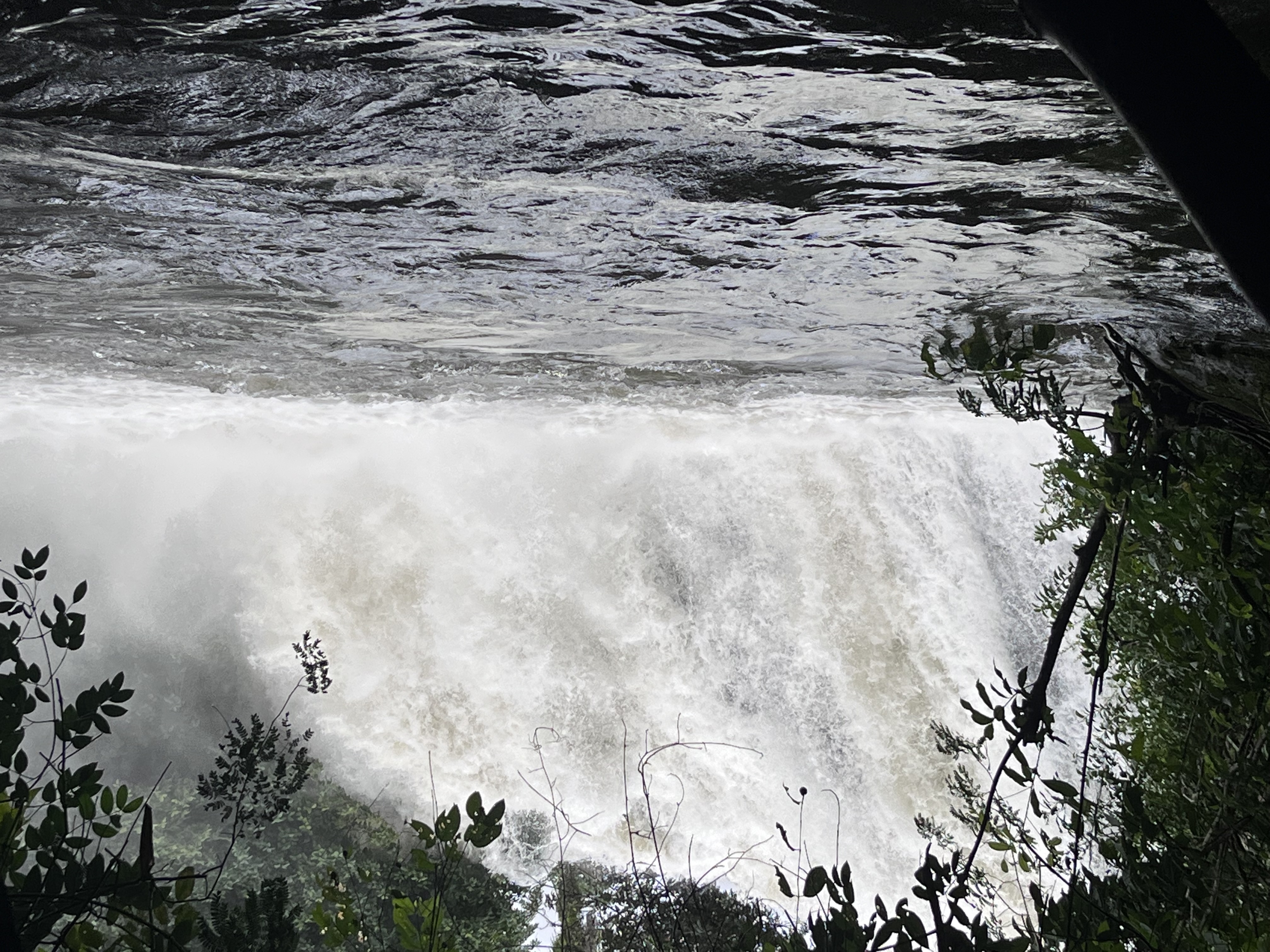 Les eaux de