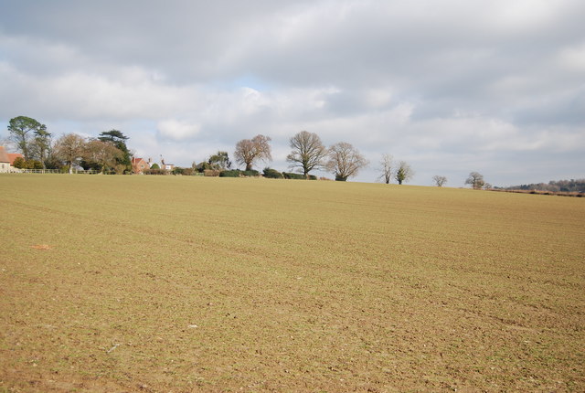 File:Looking across a field towards Church Rd, Mountfield - geograph.org.uk - 1727189.jpg