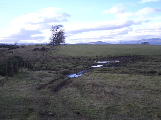 File:Muddy field - geograph.org.uk - 128940.jpg