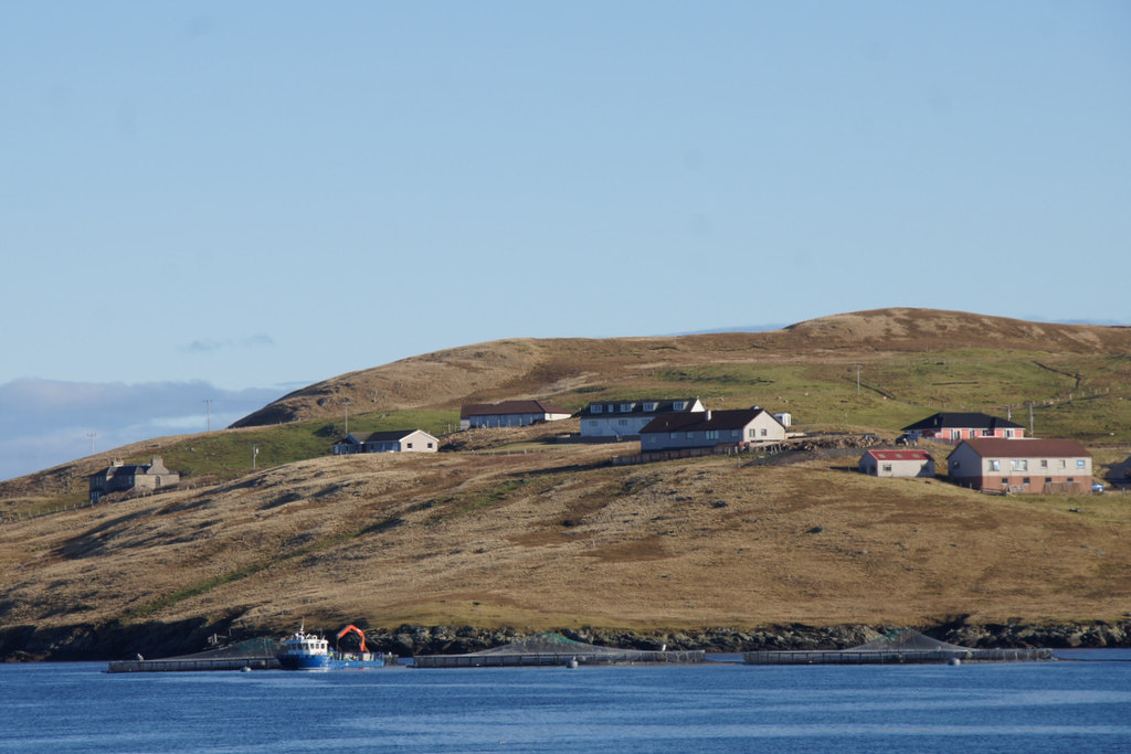 North Park, Whalsay