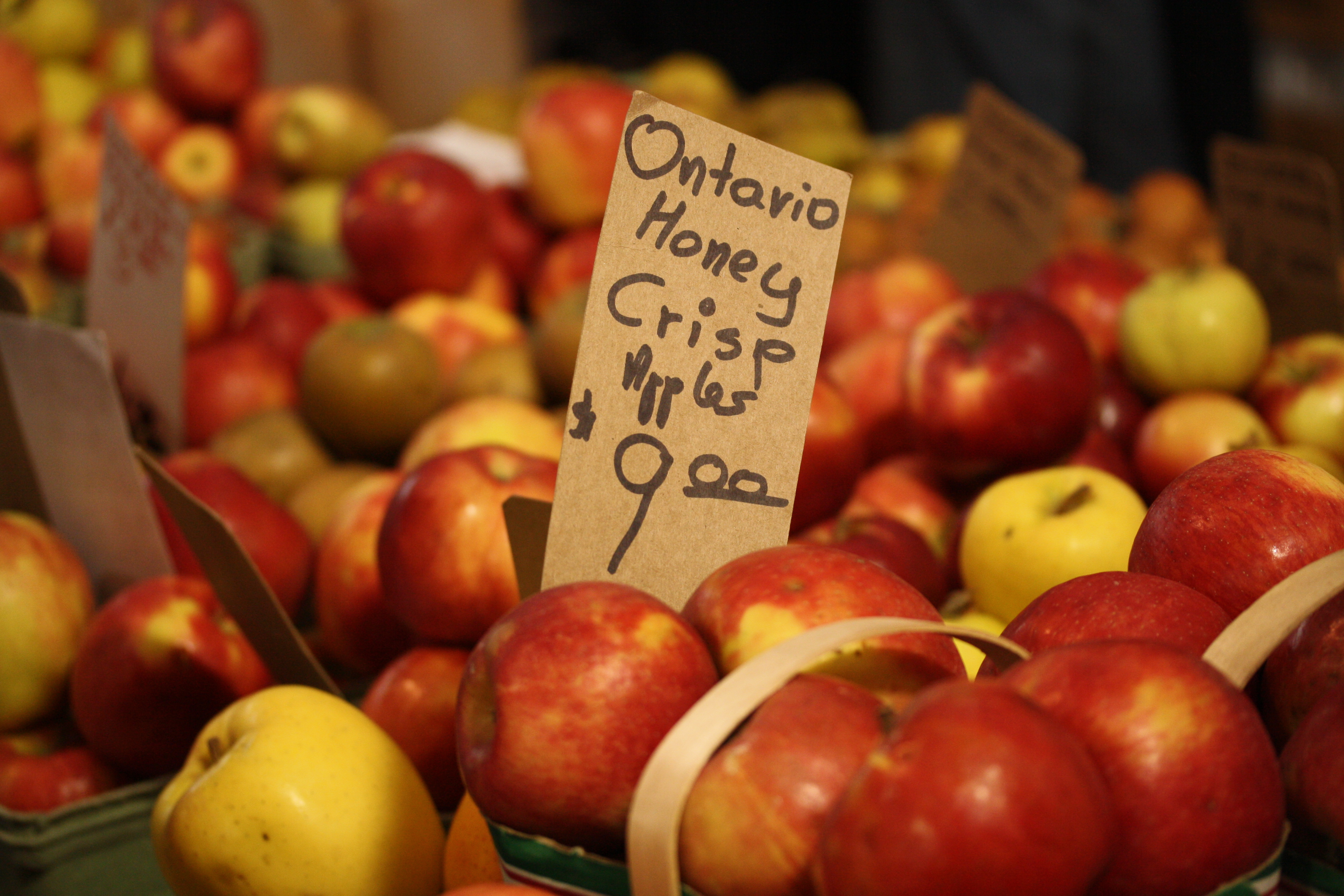 Honeycrisp - Wikipedia