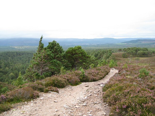 File:Over Rothiemurchus Forest - geograph.org.uk - 578536.jpg