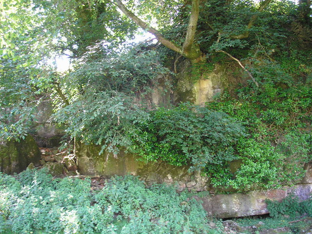 File:Overgrown scar in Dentdale - geograph.org.uk - 202702.jpg