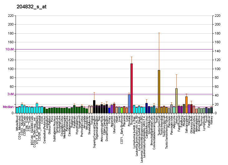 File:PBB GE BMPR1A 204832 s at fs.png