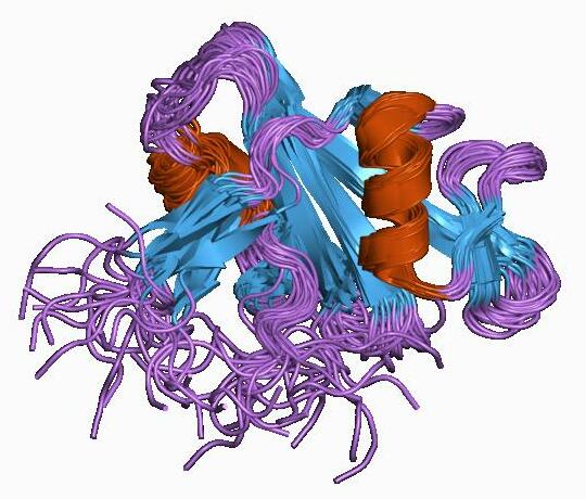 File:PDB 1ab2 EBI.jpg