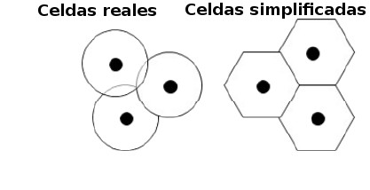 File:Real network cells.jpg