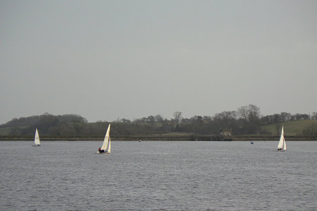 File:Sailing on Blithfield Reservoir - geograph.org.uk - 1136706.jpg