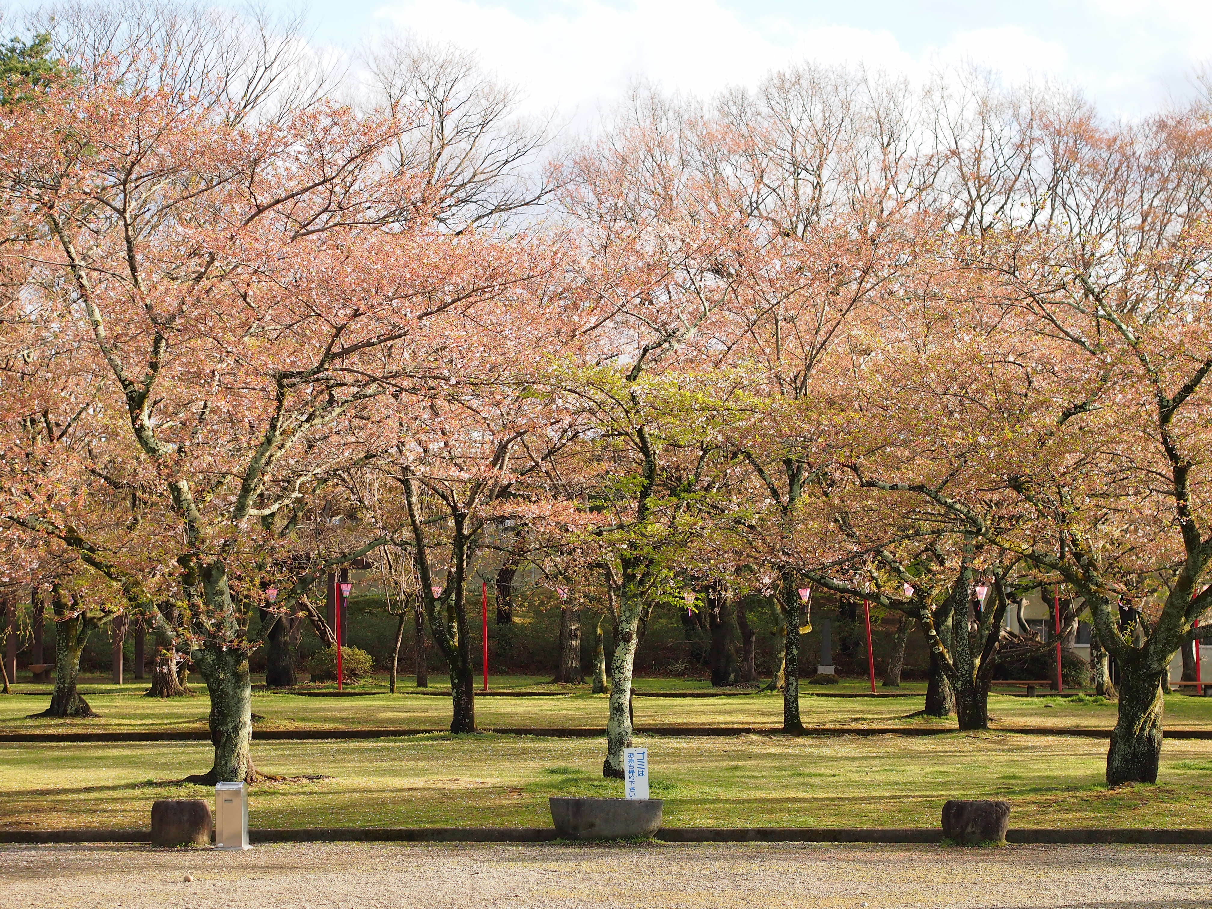 Castle miyagi