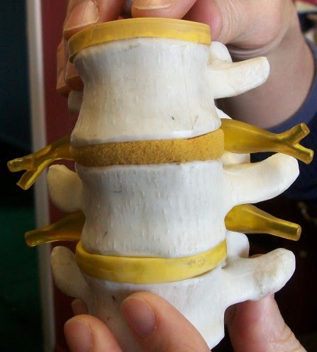 File:Spinal readjustment 3.jpg