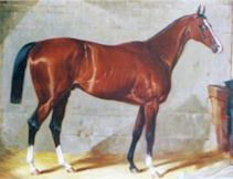 <span class="mw-page-title-main">St. Gatien</span> British-bred Thoroughbred racehorse