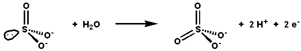 File:Sulfite-oxidase-reaction.png