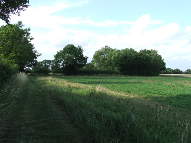 File:The Mount - geograph.org.uk - 1401615.jpg