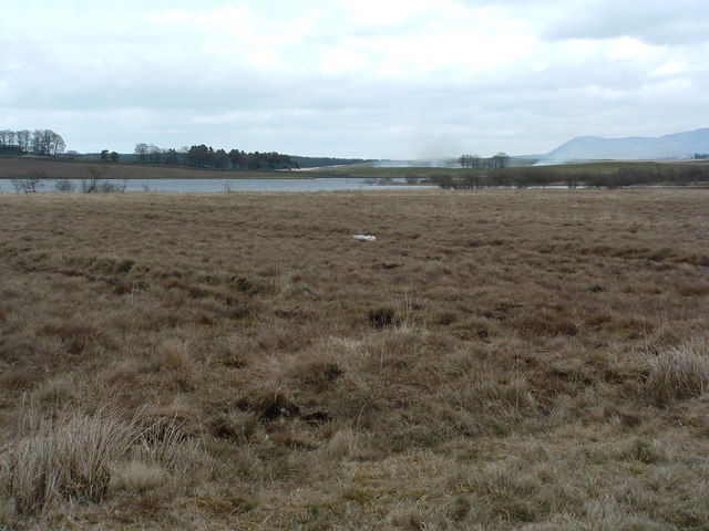 Towards Cobbinshaw Reservoir - geograph.org.uk - 393110