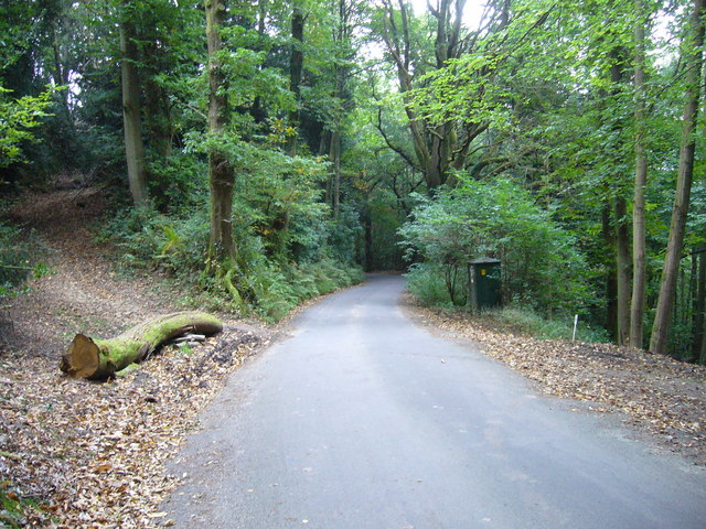 Track crossing road at Marley Heights - geograph.org.uk - 976055