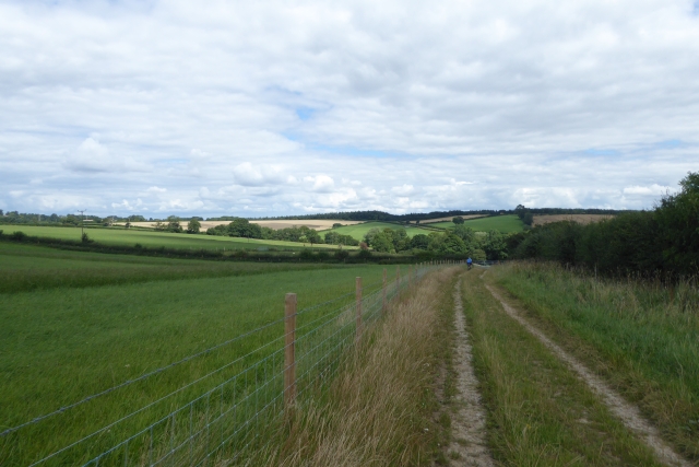 File:Track leading to Crambe - geograph.org.uk - 5488278.jpg