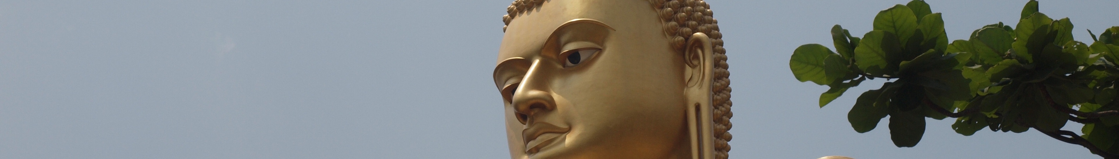 WV banner Dambulla Buddha.jpg