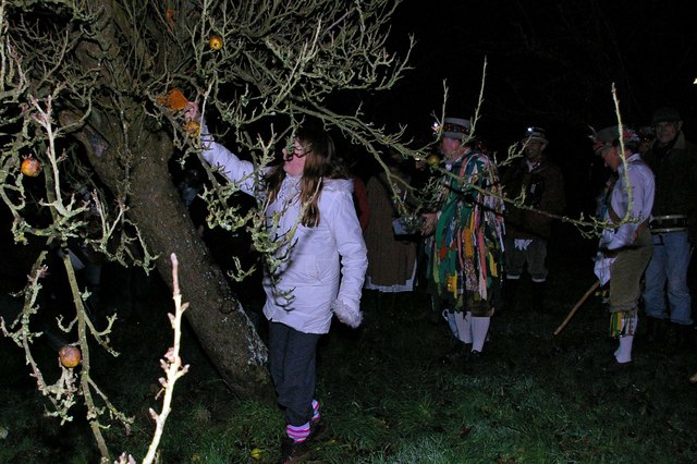 File:Wassailing with cider toast at Maplehurst, West Sussex.jpg