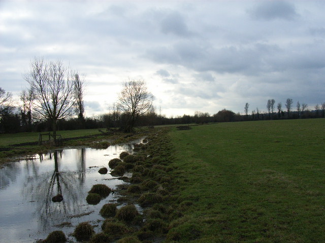 File:White Brook, Widbrook Common - geograph.org.uk - 99280.jpg