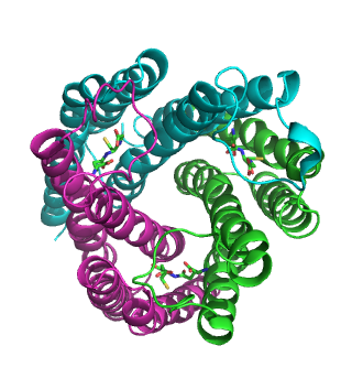 Prostaglandine-E synthase