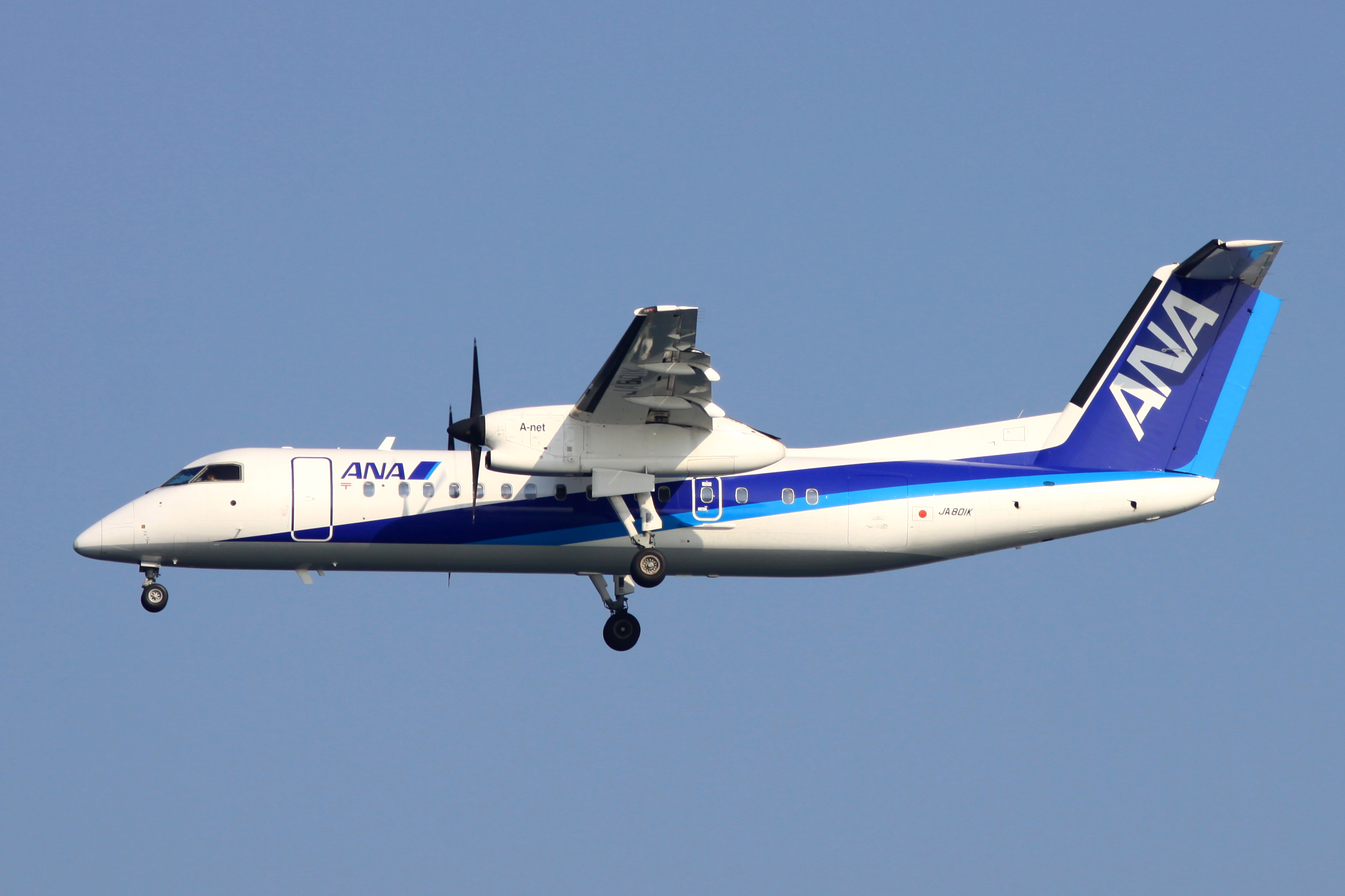 ファイル:ANA Bombardier DHC8-300(JA801K) (4081968231).jpg - Wikipedia