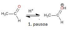 1.pausoa: karboniloaren protonazioa